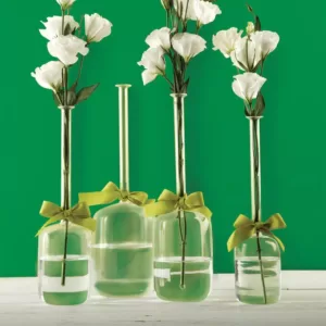 Two's Company 4-Sizes Sleek and Chic with Sage Green Ribbon Includes Clear Jug Vases  (Set of 4)