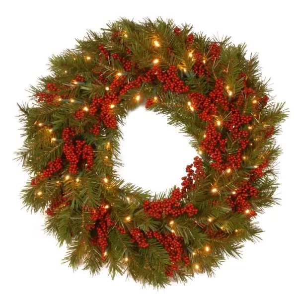 National Tree Company Decorative Collection Valley Pine 24 in. Artificial Wreath with Battery Operated Warm White LED Lights
