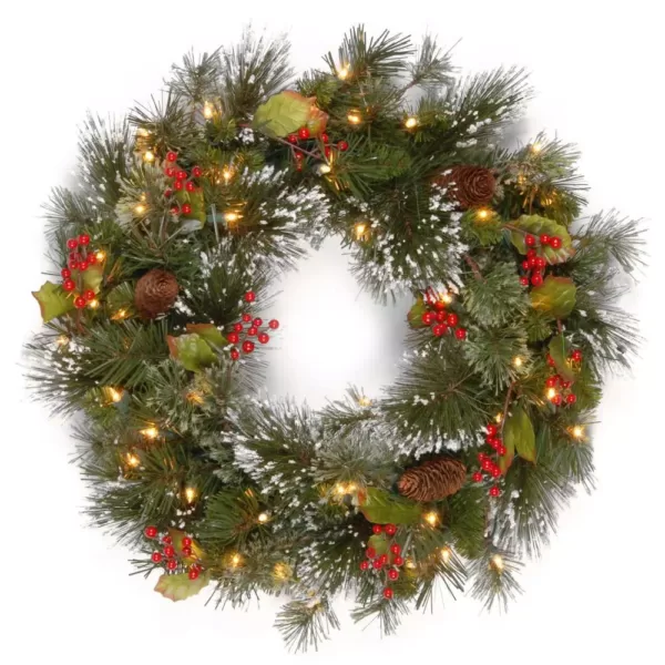 National Tree Company 24 in. Wintry Pine Artificial Wreath with Clear Lights