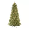 National Tree Company 9 ft. Feel Real Tiffany Fir Slim Hinged Artificial Christmas Tree with 800 Clear Lights