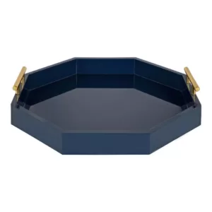Kate and Laurel Lipton 18 in. x 3 in. x 18 in. Navy Blue Decorative Wall Shelf