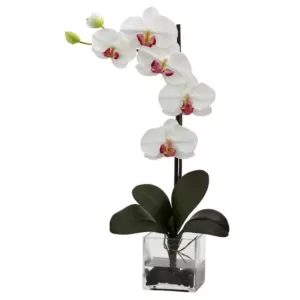 Nearly Natural Giant Phalaenopsis Orchid with Vase Arrangement in White